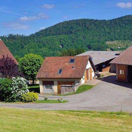 Chambres D'Hotes Hebergement F.Mathieu แซงต์-มอริซ-ซูร์-โมแซล ภายนอก รูปภาพ
