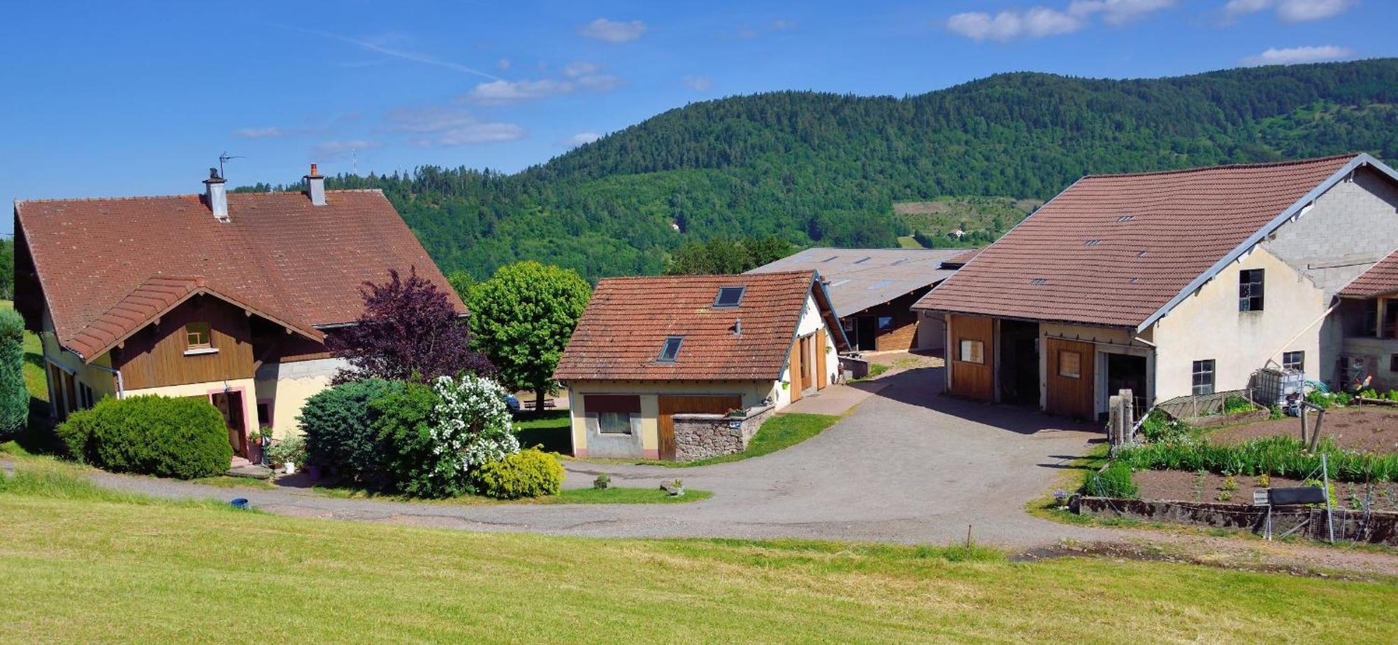 Chambres D'Hotes Hebergement F.Mathieu แซงต์-มอริซ-ซูร์-โมแซล ภายนอก รูปภาพ